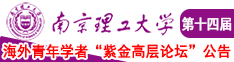 美女日批视频在线观看污污污www南京理工大学第十四届海外青年学者紫金论坛诚邀海内外英才！